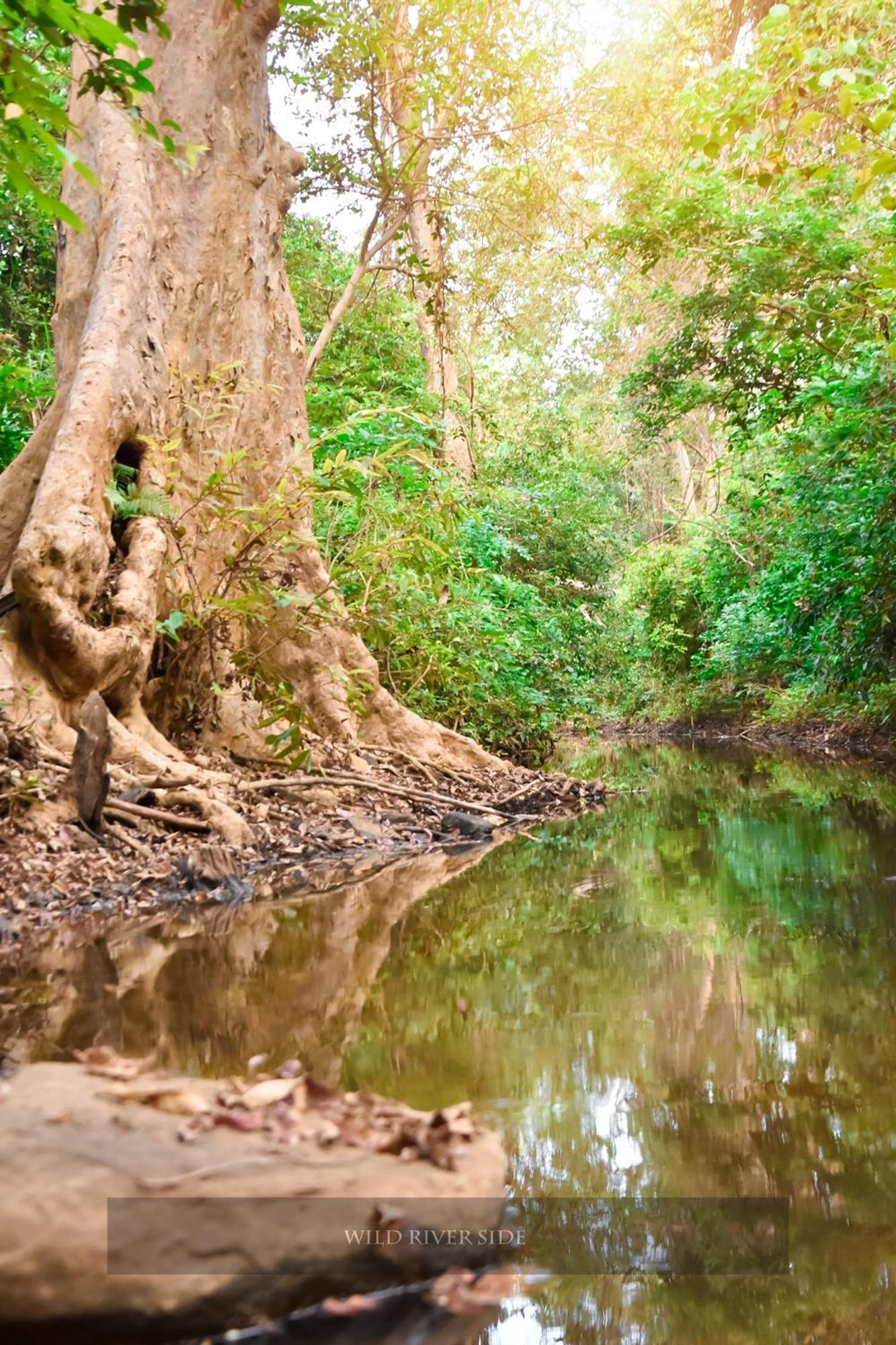 Wild River Side Uda Walawe Extérieur photo